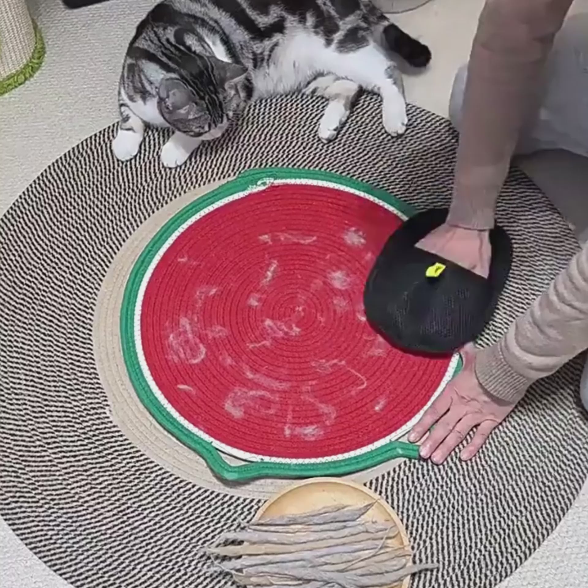 YunoPet™ – Pet Hair Remover Glove | Clean Furniture & Clothes in Seconds